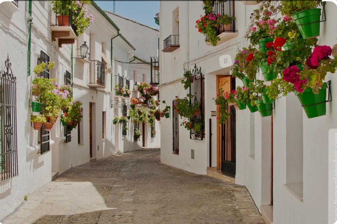 Apartamento E&D Nerja Bagian luar foto